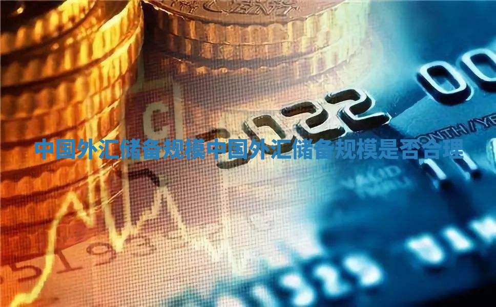 中国外汇储备规模 中国外汇储备规模是否合理