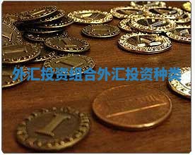 外汇投资组合 外汇投资种类