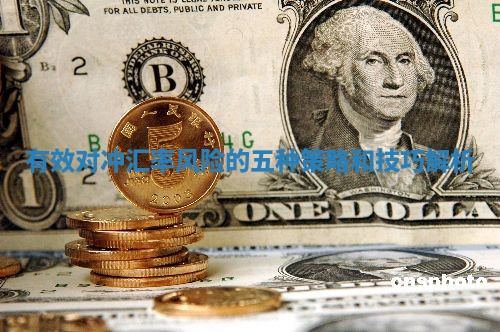 有效对冲汇率风险的五种策略和技巧解析