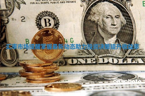 汇率市场提醒掌握最新动态助力投资决策提升收益率