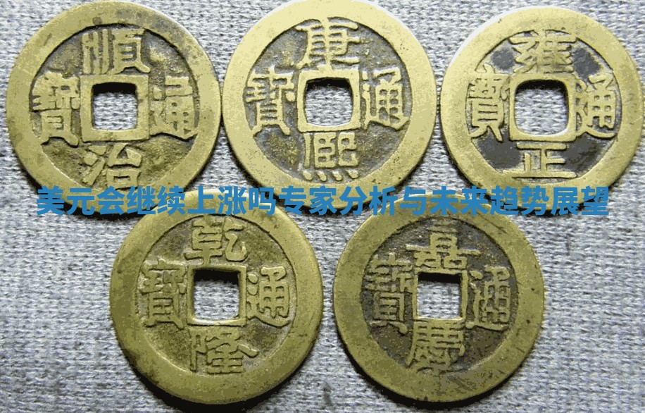 美元会继续上涨吗专家分析与未来趋势展望