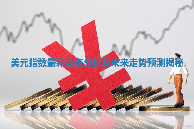美元指数最新动态分析及未来走势预测揭秘